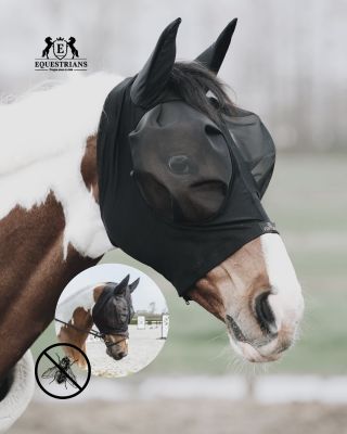 🪰 🫷🏼Muchařská sezóna je v plném proudu – ochraňte svého čtyřnohého parťáka. 🫸🏼🪰 Za nás je maska proti hmyzu nezbytnou...