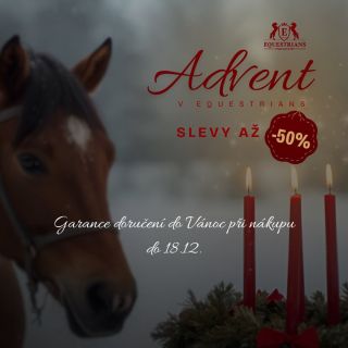 🎄 Vánoce bez stresu.♥️ Objednejte do 18. prosince a dárek doručíme včas, připravený rozzářit Štědrý večer ✨